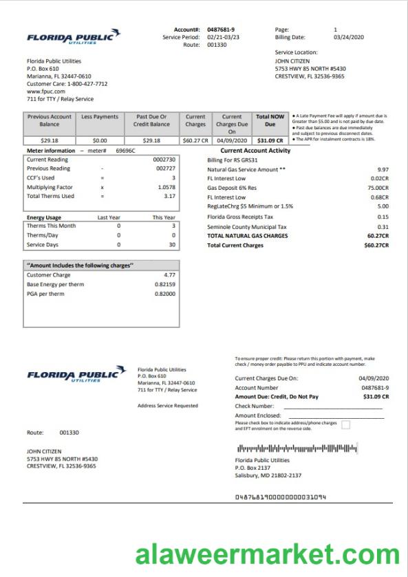USA Florida Public Utilities utility bill template in Word and PDF format
